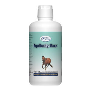 EquiBody–Eaze