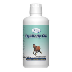 EquiBody Glo